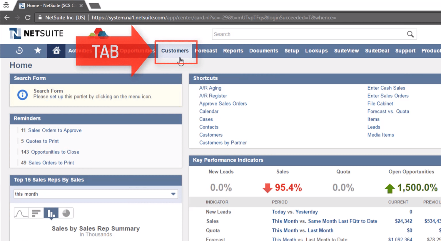 NetSuite Tutorial login, roles, portlets, and global search